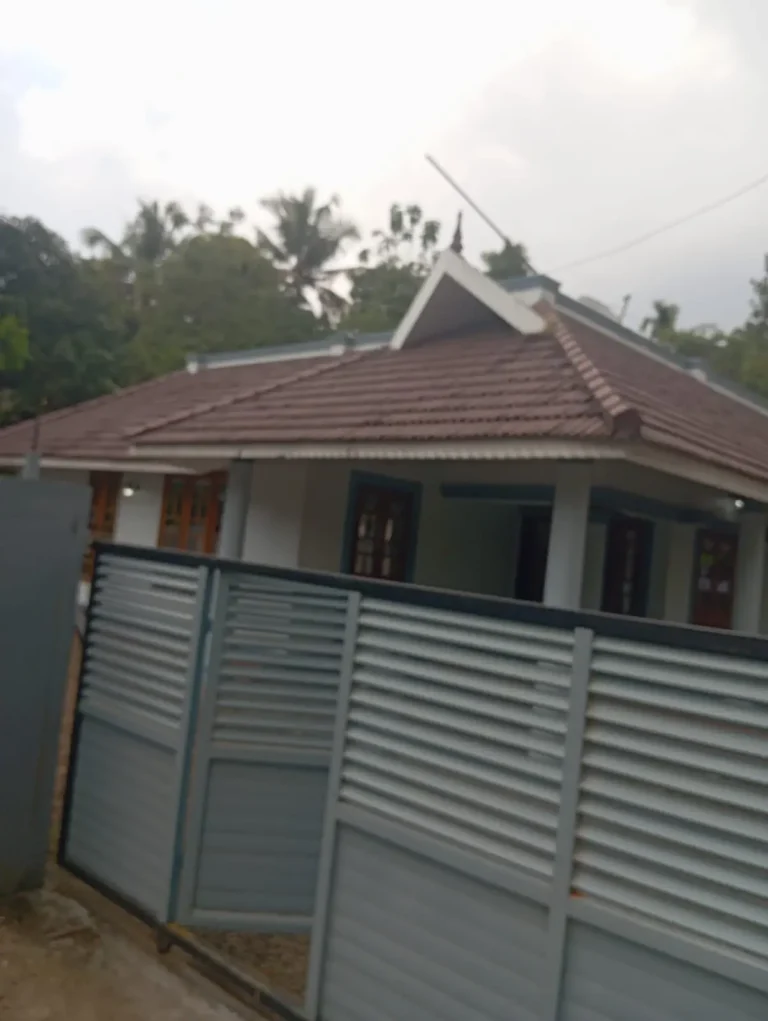 WhatsApp Image 2026-02-27 at 5.37.19 PM